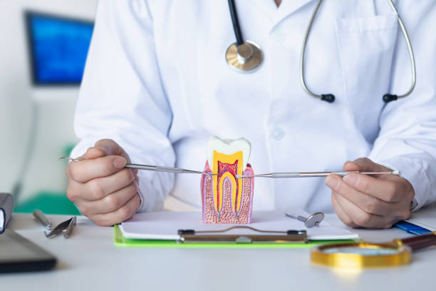 Best Urgent Tooth Repair  in Vermilion, OH